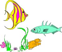 FISH025.CMX
