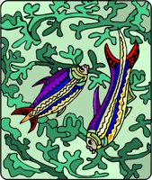 FISH021.CMX