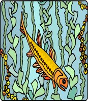FISH018.CMX