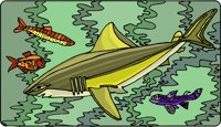 FISH016.CMX