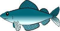 FISH013.CMX
