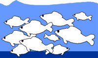 FISH011.CMX