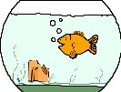 FISH008.CMX