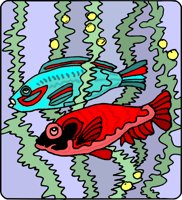 FISH005.CMX