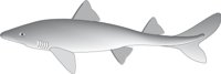 DOGFISH.CMX