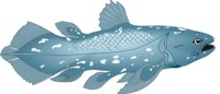 COELACAN.CMX