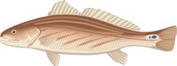 CHANNELB.CMX