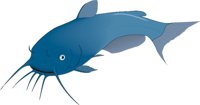 CATFISH.CMX