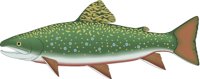 BRKTROUT.CMX