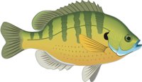 BLUEGILL.CMX