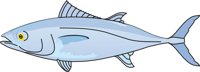 BLUEFIN.CMX
