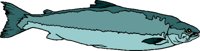 BIT1163.CMX