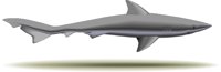 BIT0389.CMX