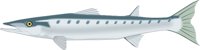 BARRACUD.CMX