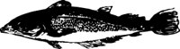 ANWL0161.CMX
