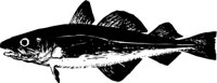 ANWL0148.CMX