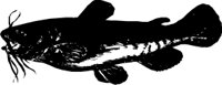 ANWL0145.CMX