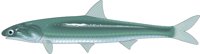 ANCHOVT.CMX