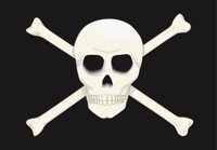 PIRATEFL.CMX