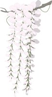 WISTERIA.CMX