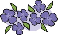 VIOLETS.CMX