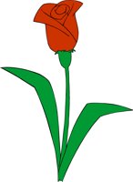 TULIPA.CMX