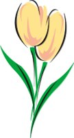 TULIP2.CMX