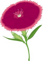 SWEETWIL.CMX