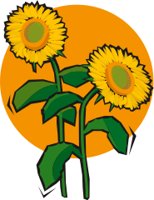 SUNFLWR2.CMX