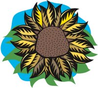 SUNFLOW2.CMX