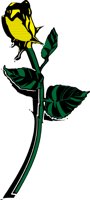 ROSE5.CMX