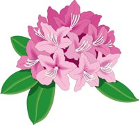 RHODODEN.CMX