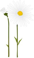 OXEYEDAL.CMX