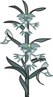 ORCHID3.CMX