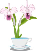 ORCHID.CMX