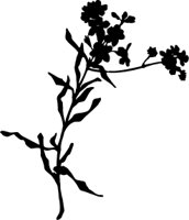 OBPL0285.CMX