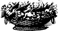 OBPL0266.CMX