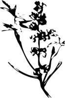 OBPL0264.CMX