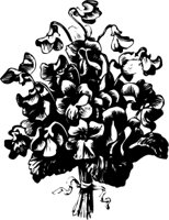 OBPL0260.CMX