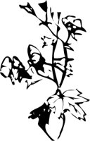 OBPL0259.CMX