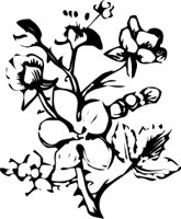 OBPL0256.CMX