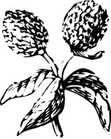 OBPL0254.CMX