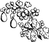 OBPL0249.CMX