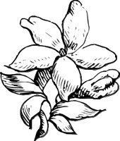 OBPL0248.CMX