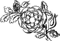 OBPL0245.CMX