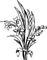 OBPL0244.CMX