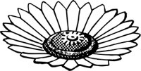 OBPL0221.CMX