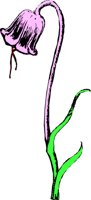OBPL0157.CMX
