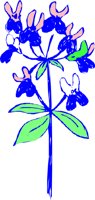 OBPL0128.CMX
