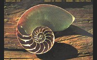NAUTILUS.GIF